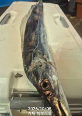 초대박~전원만쿨,이 맛에 텐빈,텐야