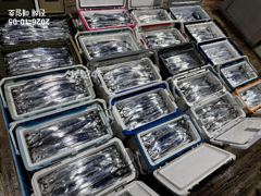 [5일입항,준내만갈치]밤샘피딩에쿨러폭발!! 최고5지까지~!! 갈치회도산더미로~ 화요일부터 예약가능합니다!