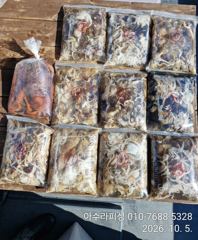 [사천] 삼천포 아수라피싱 주꾸미 조황 사진