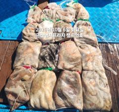 6일, 군산은 지금 ~싸이즈 확실한 덩치급 왕문어가~~싸이즈 굿~내일도 갑니다~군산낚시프라자 챔피언호