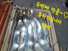 [마산] 내만갈치 사이즈 마리수 굿굿!!! 100수 이상 낚낚GOGO~