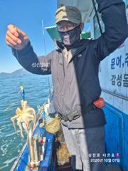 삼천포 쭈꾸미 실시간~~ 토일 여유