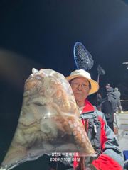 [사천] 삼천포 주꾸미,문어조황! 주간반, 야간반 매일출조!