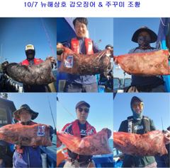 10월 7일 갑오징어 & 주꾸미 조황