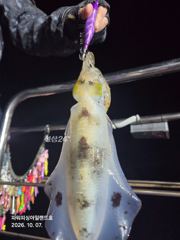 팁런)1.2Kg외 무시 무시 무시~~(오늘 자리많아요)