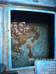 [부산] 문동 피싱호 무늬오징어 팁런 조황
