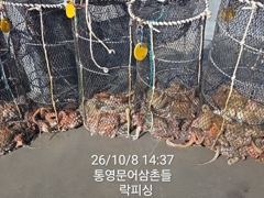 (문어)사이즈 합격~K전후 덩치들로 마릿수 소식 락피싱(9일 예약)