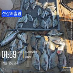 [고성] 병산 감성돔35외 마리수선상배&선외기흘림조황~