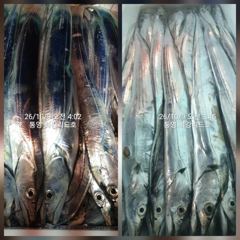 [통영최강리드호] 통영 갈치 제대로 붙었습니다! 대치 손맛에 한치 야식까지~토요일 자리여유 사진