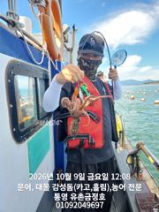 통영 금정호 문어선상 초보들도 신나게 잡았습니다 내일 자리여유있습니다
