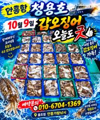 10월9일 안흥청용호 갑오징어 조황입니다