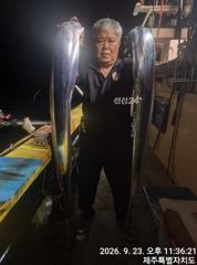 비비호 9월 23일 갈치조황