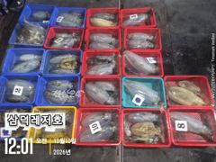 [팁런] k,무시급들( 일요일,출항,예약중)