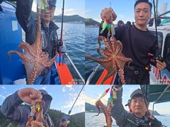 9일 끝임없이 올라와 잡고온 야간~돌문어 마리수 잡으러 출조 갑니다 @오늘,일,월요일~몇자리 예약가능