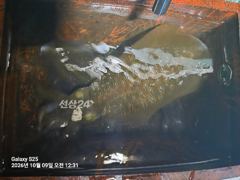[통영] 몬스터 몬스터 사진