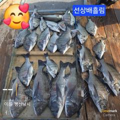 [고성] 병산 감성돔47,46,45,4짜,3짜외마리수 선상배&선외기&덴…