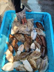 10월10일 뉴신명호 쭈갑 조항입니다