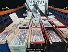 빅토리점경동호 먼바다갈치외줄16석 만쿨쿨러조항.