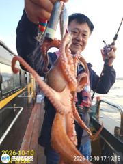 [포항] 10-10(오후조황)K오버 돌문어 사이즈 굿~일오후 예약중