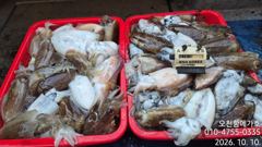 메가호10월10일왕갑이조황