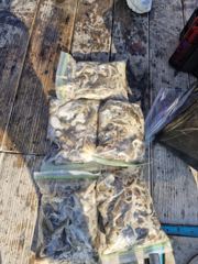 2026년 10월 10일 타이탄호 조황사진입니다