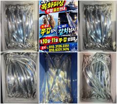 목화피싱 10/10일 야간 갈치낚시 사이즈 이지반 삼지반 마릿수 연일 터졌넹요.