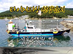 구산면 타이거 칼치