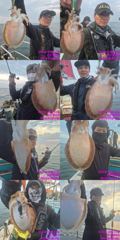 <레인보우호> 군산갑오징어~실시간~잘나옵니다 ~(11일)