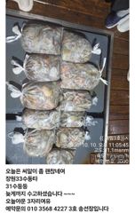 10일 야문 조항입니다