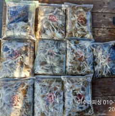 삼천포 아수라피싱 주꾸미 조황 사진