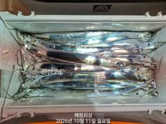내만갈치 씨알급 바글바글 마릿수 손맛 대박 예약가능합니다 사진