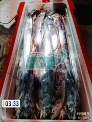 [[ 대림낚시바다호 ]] 대박이 났네요 근데도 오늘 자리가 많이 비었네요
