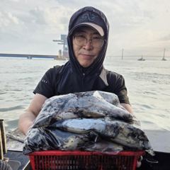 인천 [마린스타 1호 & 3호] 10월 11일(일) [쭈꾸미 갑오징어] 조황!!!