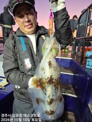 주간에는 삼치및방어 쿨러채우는데 시간문제~~야간에는 무늬가. 쥑입니다 사진