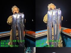 [통영] (14석통영명륜3호)10/12일 아침조황 씨알/마릿수~굿굿 밤새…
