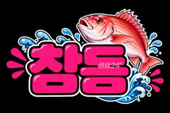 ((참돔))평일 10만출초~~ 마릿수 씨앗 쥑입니다~~평일 10만 출조합니다~~