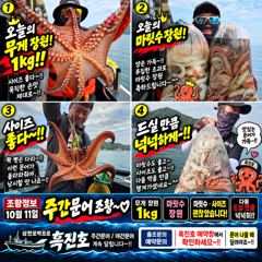 삼천포문어 어제만큼은 아니어도 마릿수·사이즈 굿! 1kg 장원｜삼천포박프로 흑진호
