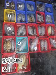 [팁런]k,k,완전무시급들싸이즈"굿"(화요일출항) 사진