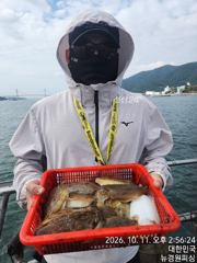 [사천] 내일 왕갑이 6분예약중 출조확정 입니다 자리여유 많습니다 갑오징… 사진