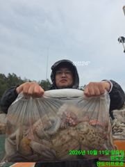 10.11 사리에 문어조황