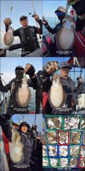 10월10일 뉴써니호 갑오징어 100갑이상 마릿수 조황입니다~!!