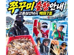 [쭈꾸미] <고흥권 왕쭈꾸미!!!> 사이즈 굿 마릿수 최고!! 밀린조황올립니다. 이번주 금,월,화 자리여유! 010 4848 0776