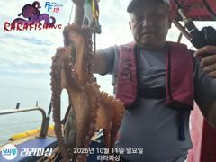 [진해] (야간문어)수.목.금.예약가능 무너쭉욱 달립니다