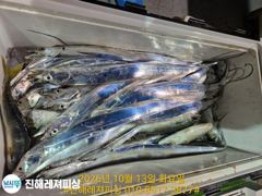 내만칼치ㅡ씨알.마릿수 초대박~어마어마하게 퍼담고(수요일예약가능)