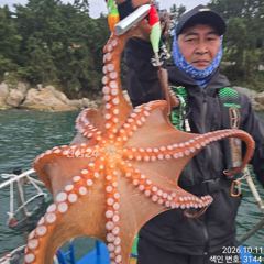 끝도없이 올라오는 굵고 묵직한 Kg급 야간~돌문어 잡으러 출조 갑니다@ 오늘,목,금요일~예약가능