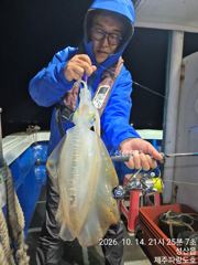 10/14일 무늬오징어(팁런) 조황