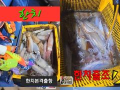 오늘 목요일밤 한치+갈치 급출조 모집 / 금욜 : 무늬오지어 모집중