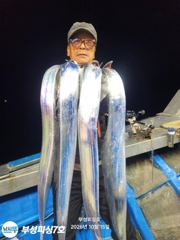[부성피싱]왕칼치 초대박.. 대마골 씨알 좋습니다 전원쿨러가득 잡아갑니다 오늘긴급자리여유
