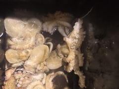 야간돌문어k급중치급장원25수외마릿수굿~오늘고~