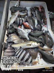 [통영] 감성돔어초흘림 ~ 감성돔,뺀찌,벵에,돔종류들 다양하게 올라옵니다…